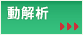 動解析